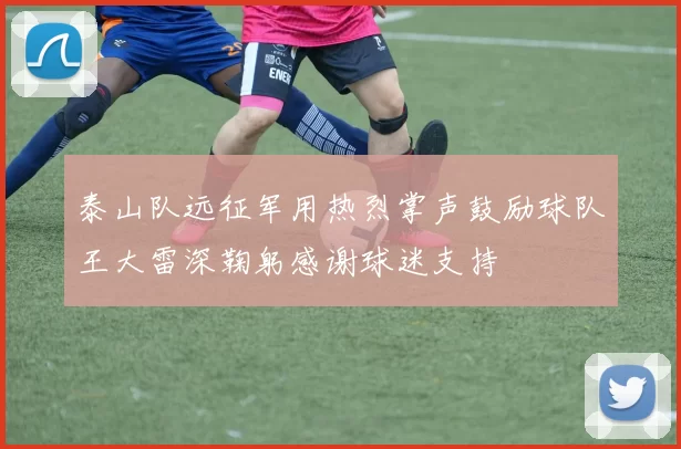 泰山队远征军用热烈掌声鼓励球队王大雷深鞠躬感谢球迷支持